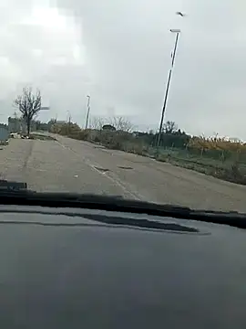 pegaso369 live sex cam