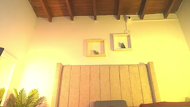 patty_m's cam snapshot