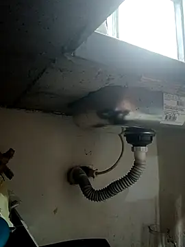 yaneth_'s cam snapshot