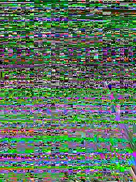 helenaduque_'s cam snapshot