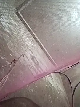 Misa-pusy's cam snapshot