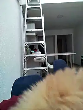 Pamelamiler__'s cam snapshot