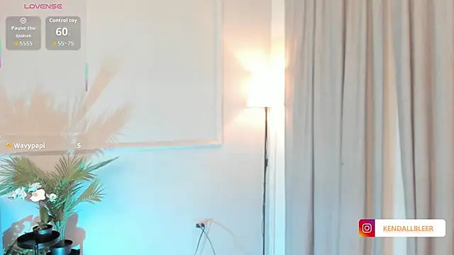 Kendallbleer's cam snapshot