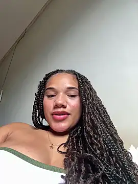 fan_model's cam snapshot