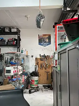 Paul22cm- live sex cam