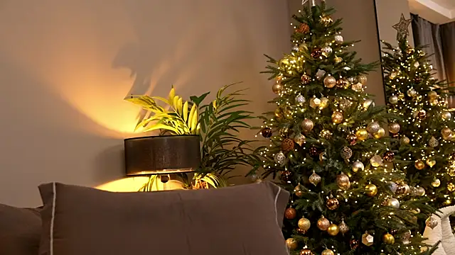 _keeti_ live sex cam