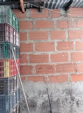 hoteder live sex cam