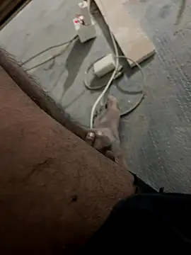 deshi_boybig live sex cam