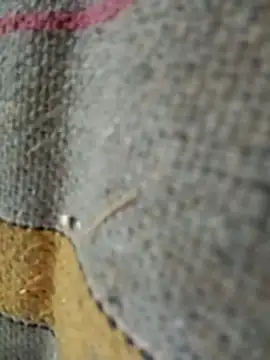 Punam_jindal's cam snapshot