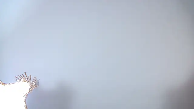 MisteryBlush's cam snapshot