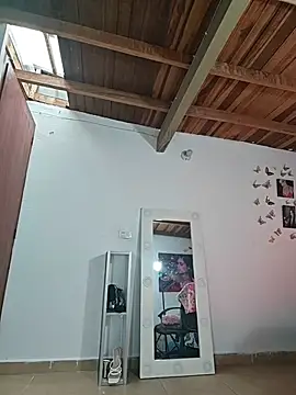 Crystalvans's cam snapshot