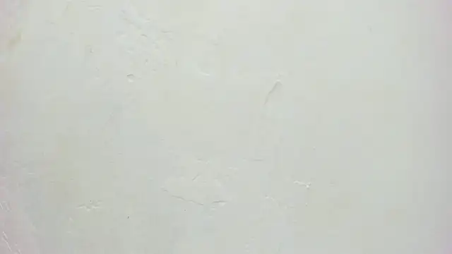 laura_stuar live sex cam