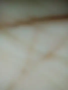 Meyyy09's cam snapshot