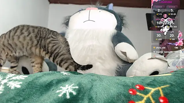 minene_mikami's web cam