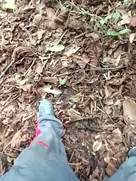 LemonyArcus's cam snapshot