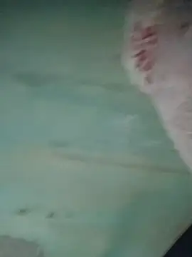 Paunoseucuzao live sex cam