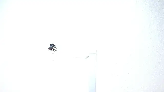 millyjones303av live sex cam