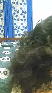 hotestfantasy's cam snapshot