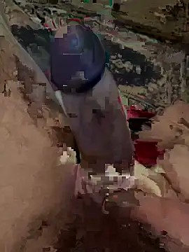 piacentino69's cam snapshot