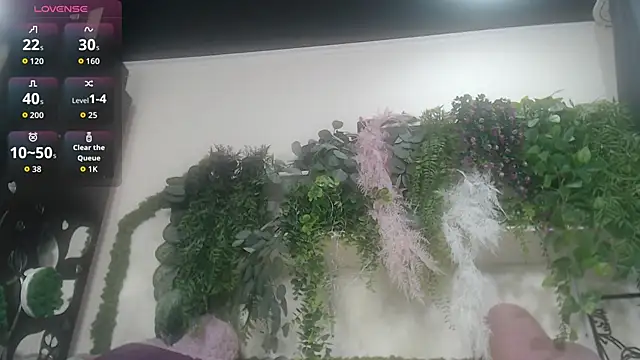 scyrim2's cam snapshot