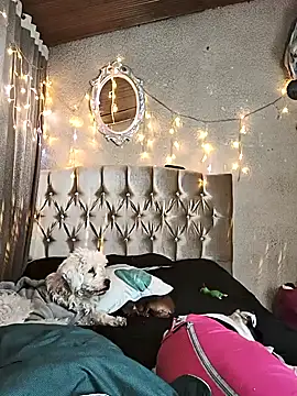 Dreams_sophi live sex cam