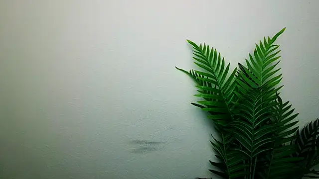 veryshygirl's cam snapshot