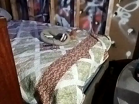 Scaeface01 live sex cam