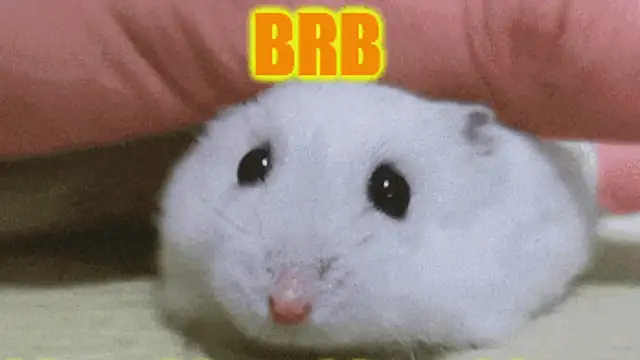 Lolly_Fly's cam snapshot