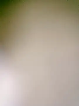 an-show live sex cam