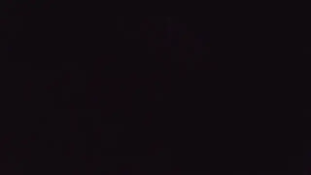 Stevenbrand's cam snapshot