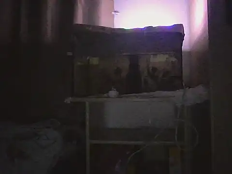 samotnyNapalony@xh's cam snapshot