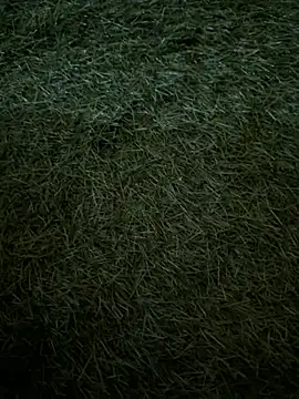 Relievedharry69's web cam