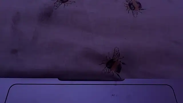 houy111111 live sex cam