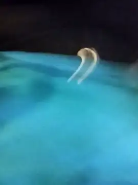 boytwink7's cam snapshot