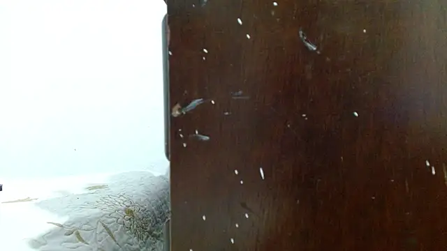 isabel_24_gil's cam snapshot