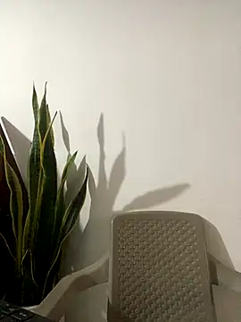 AbbyMillerrr live sex cam