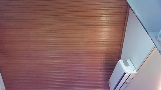 viiolett_lee's cam snapshot