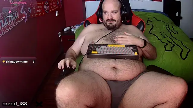 menditeta1's web cam