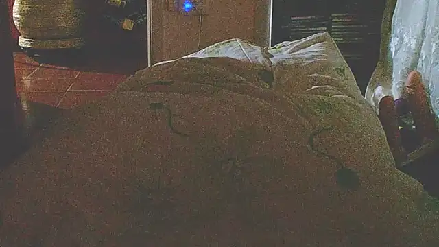 liandragostosa live sex cam