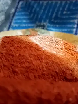 Payal950's cam snapshot