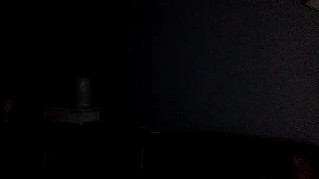 shomeagudtyme live sex cam