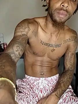 king-Camino's cam snapshot