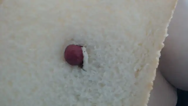 youngmin_09 live sex cam