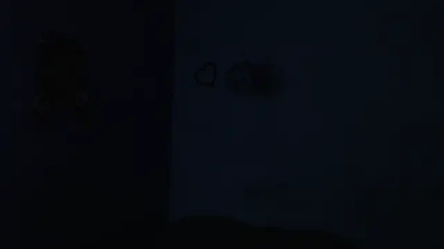 onixandghosty1 live sex cam