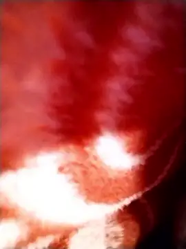 sexy__girls98's cam snapshot