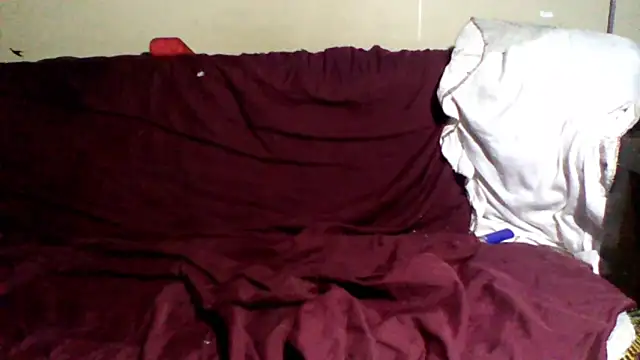 sellvageria's cam snapshot