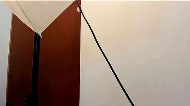 roan_birkin's cam snapshot