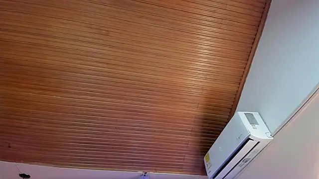 viiolett_lee's cam snapshot