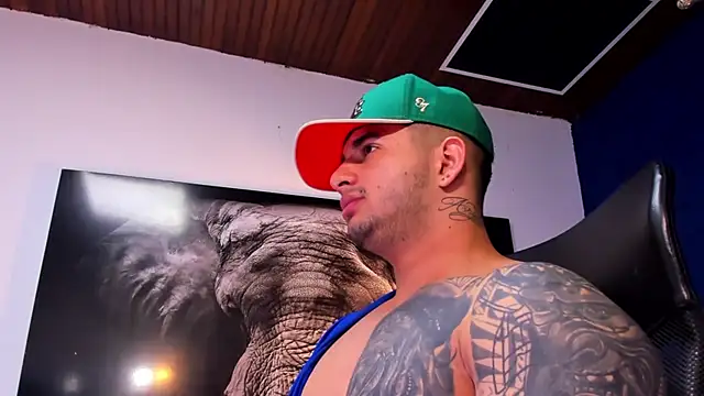 king_falconer's cam snapshot