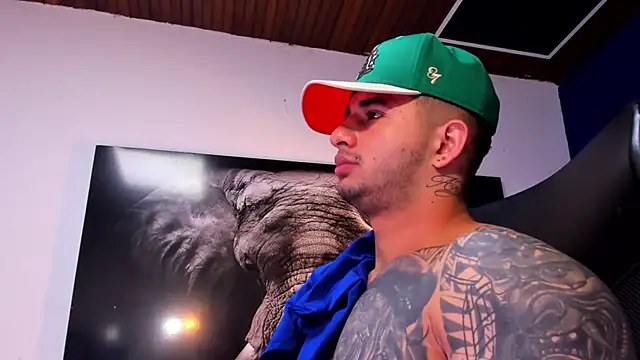 king_falconer's cam snapshot